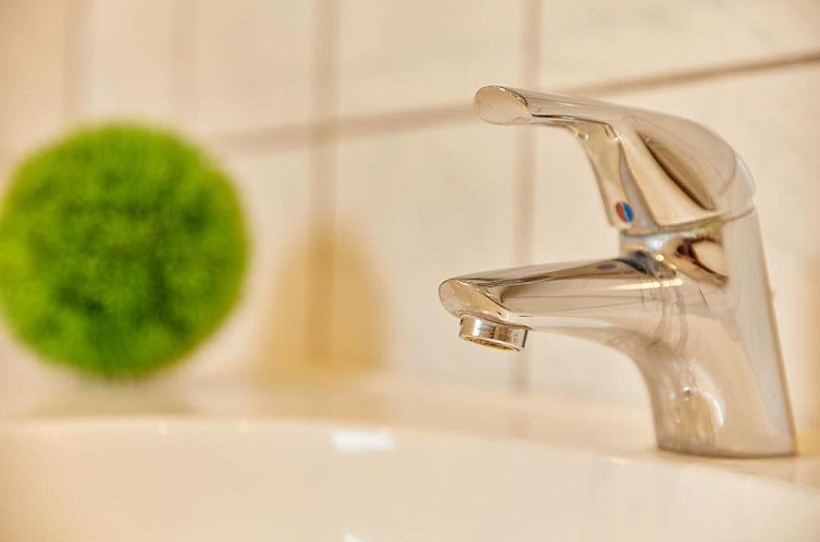 Hotel zum dicken Baum