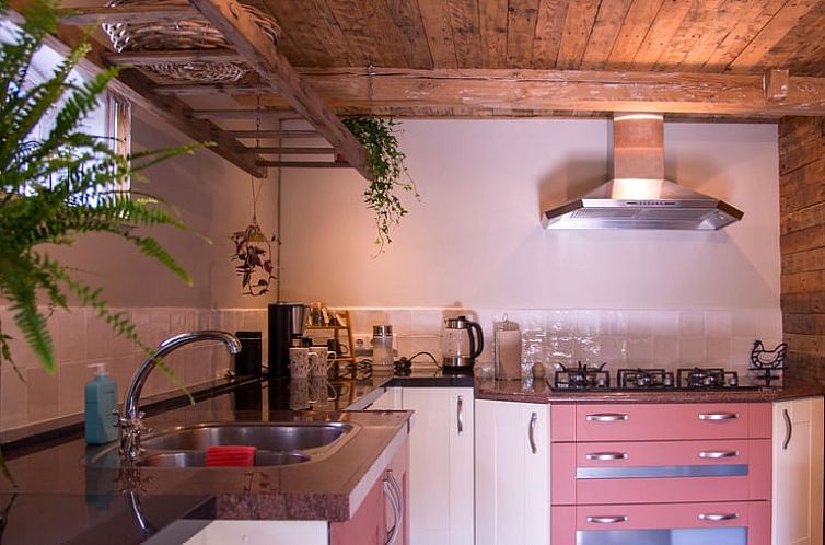 Huisje in Ooltgensplaat