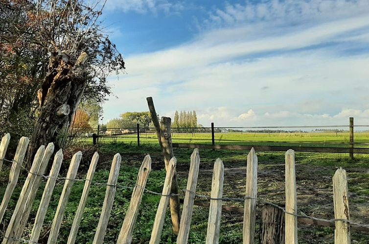 Huisje in Ooltgensplaat