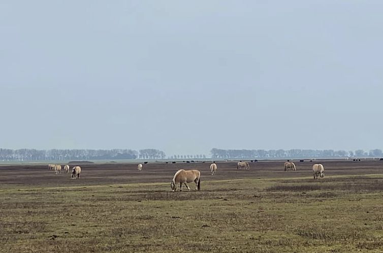 Vakantiehuis in Sommeldsijk