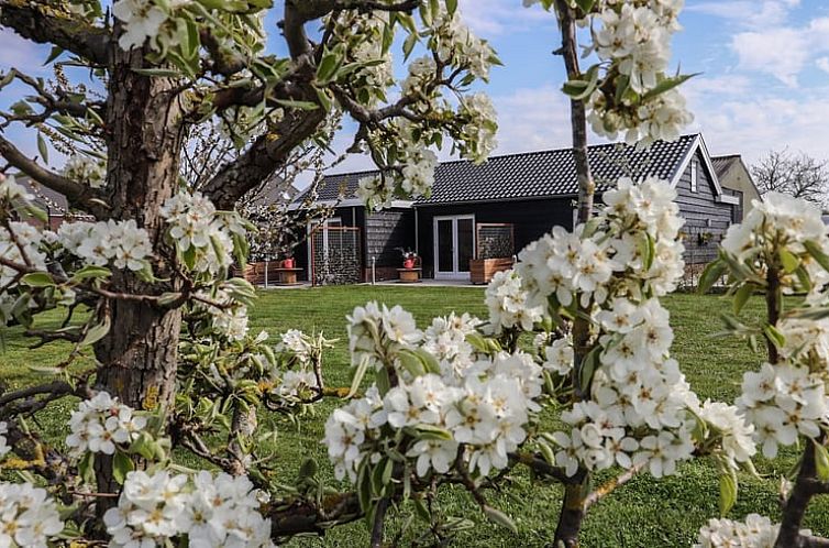 Huisje in Sommelsdijk