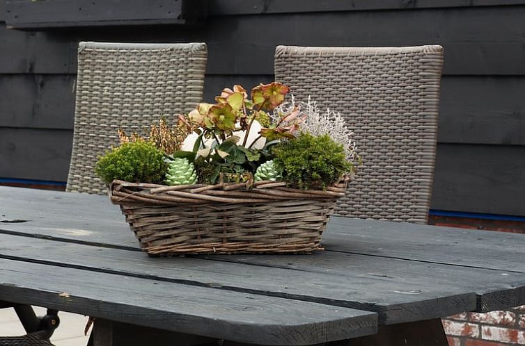 Huisje in Sommelsdijk