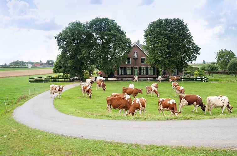 Vakantiehuis in Nieuwveen omgeven door groene weilanden en grazende koeien in het Groene Hart van Zuid-Holland.