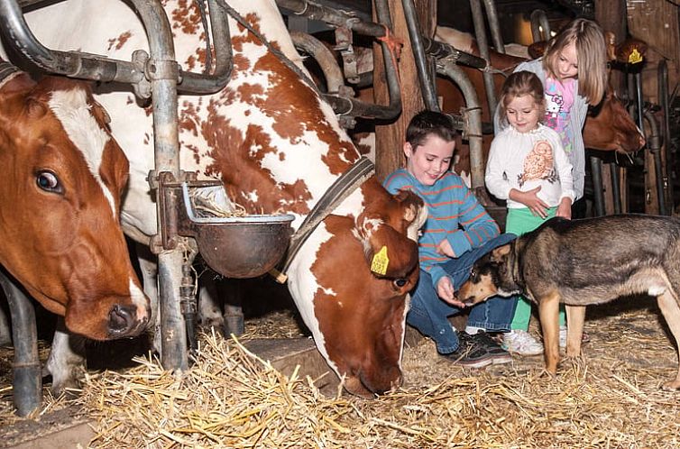 Vakantiehuis in Nieuwveen