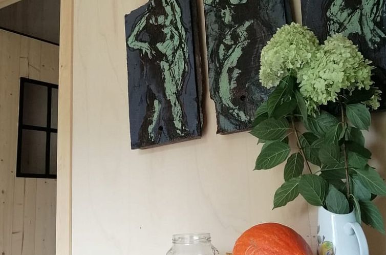 Vakantiehuisje in Aarlanderveen