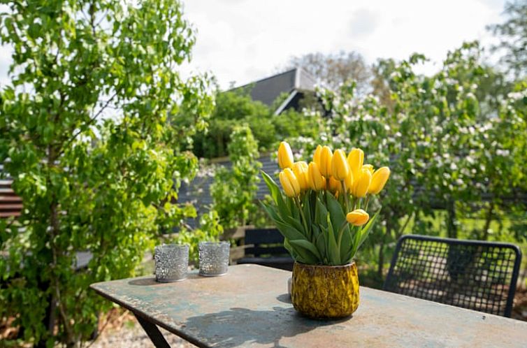 Vakantiehuisje in Aarlanderveen