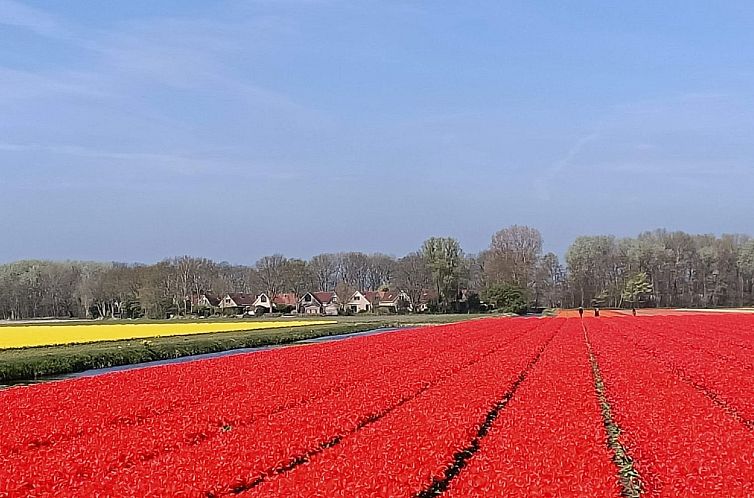 Vakantiehuis Tapuit sauna 8