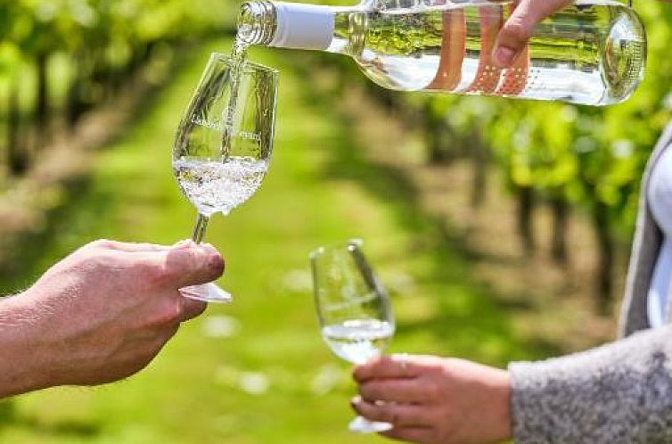 Llanerch Vineyard Hotel