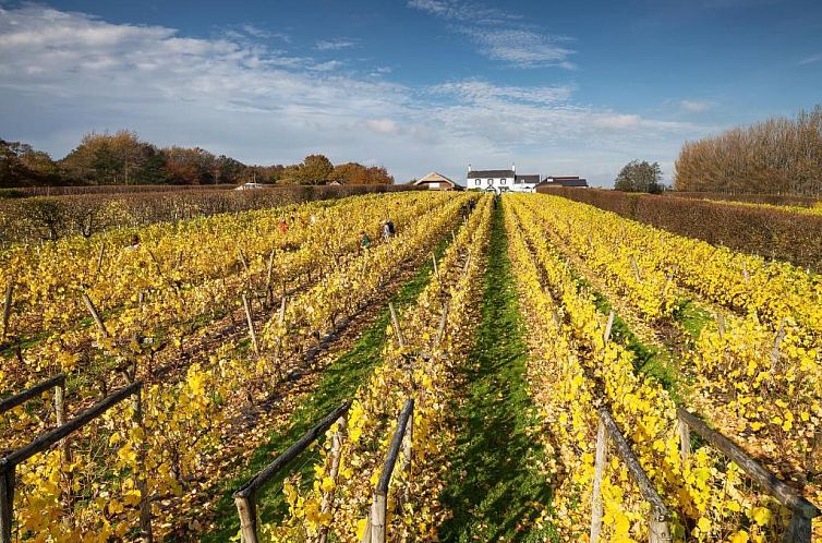 Llanerch Vineyard Hotel