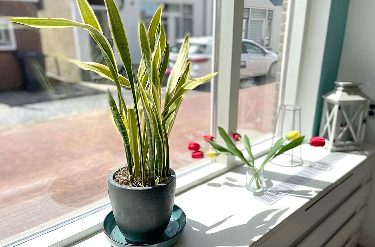 Vakantiehuis Aurora, Katwijk Zee