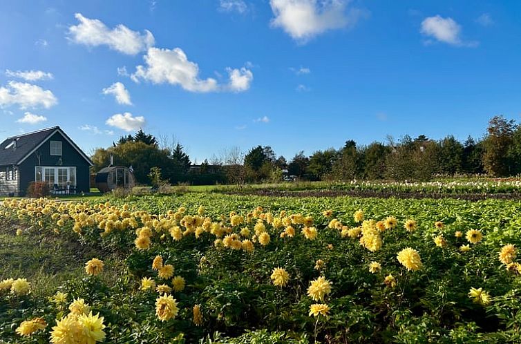 Vakantiehuisje in Voorhout