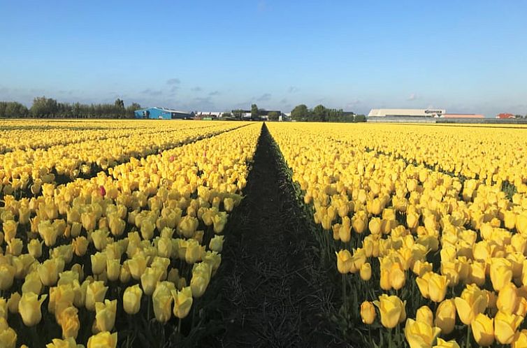 Vakantiehuisje in Voorhout