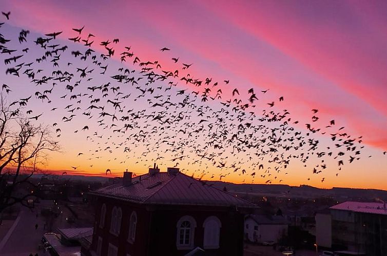 Parkhotel Pfarrkirchen