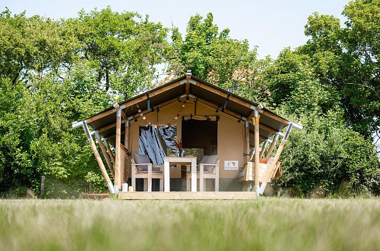 Guest house 690106 - Tent house Voorne Putten/Hoekse waard - Safaritent Cozy (inclusief ontbijt)