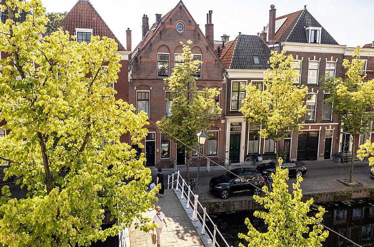 Delft 3C