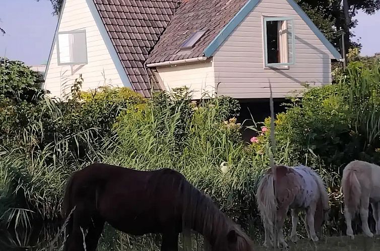 Cottage in the Green