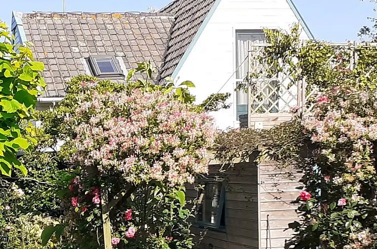 Cottage in the Green