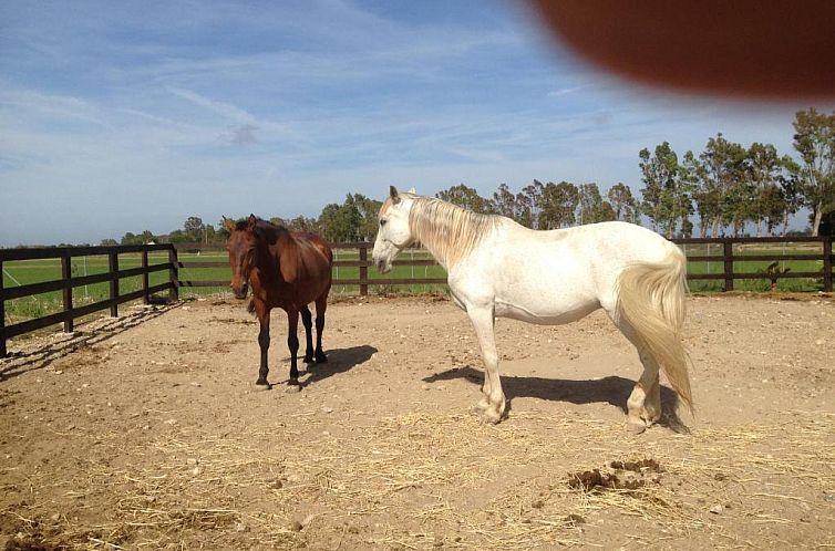 Apartamento Deltebre