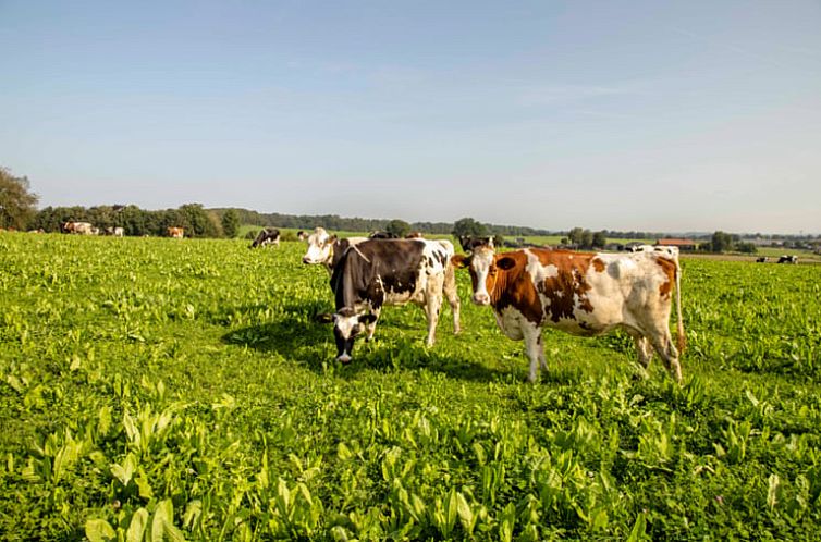 Vakantiehuisje in Groesbeek