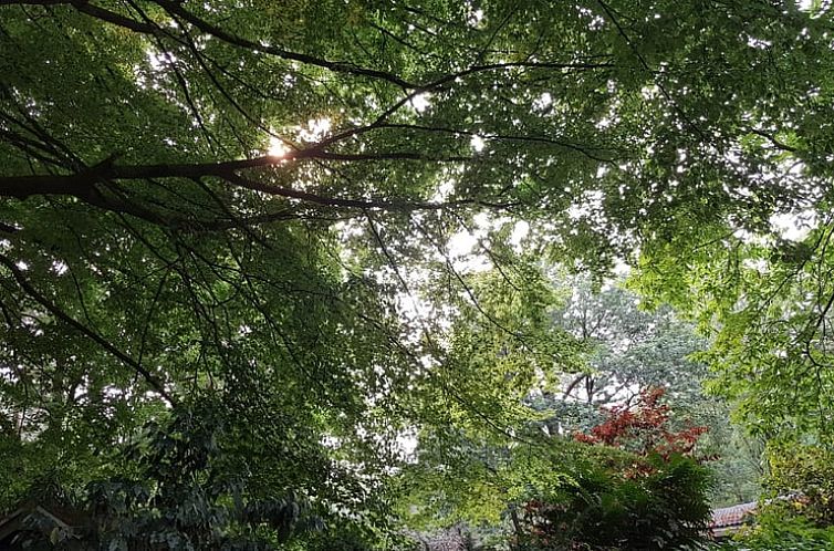 Vakantiehuis in Groesbeek