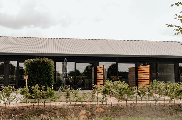 Cottage in Groesbeek, vacation home with modern facade in Groesbeek, Rijk van Nijmegen, Gelderland.