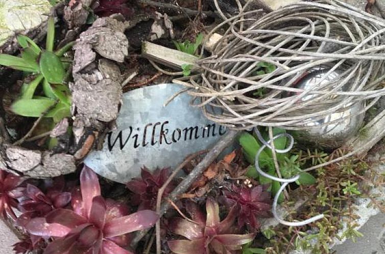 Zur neuen Post Landgasthof
