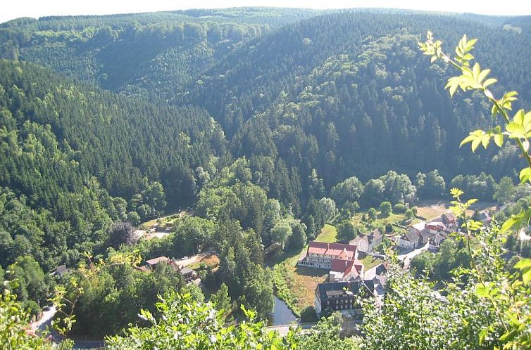 GreenLine Ferienhotel Forelle