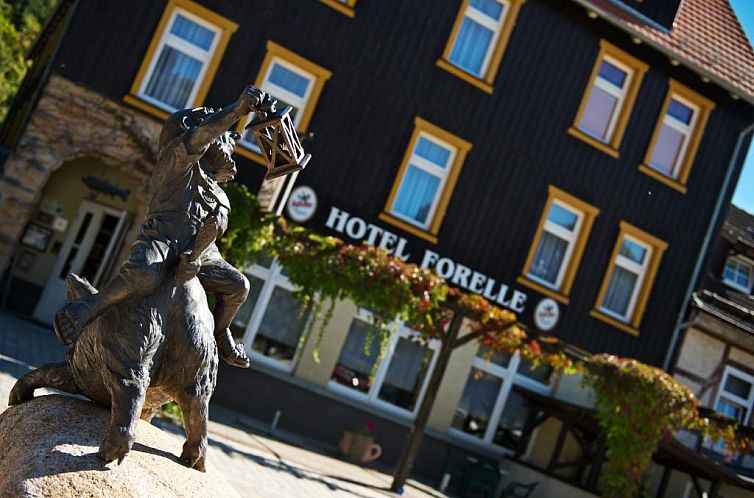 GreenLine Ferienhotel Forelle