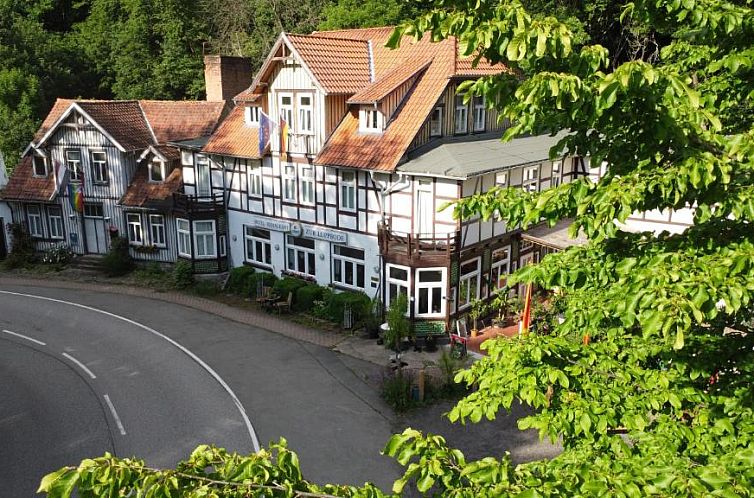 Verblijf 7502205 - Vakantie appartement Harz - Hotel Zur Luppbode