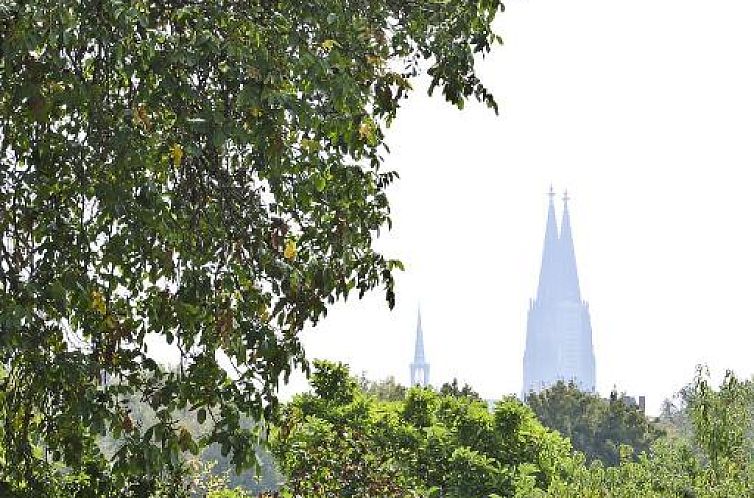 Top Apartments in zentraler Lage