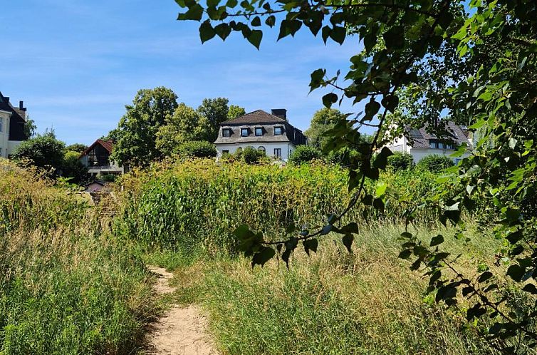 Villahotel Rheinblick