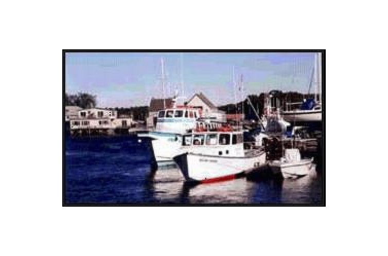 Unterkunft 7925101 - Appartement New England - Lodge at Kennebunk