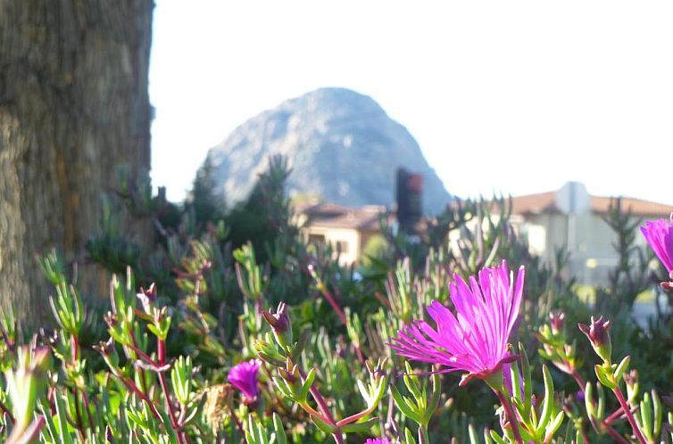 Morro Bay Sandpiper Inn