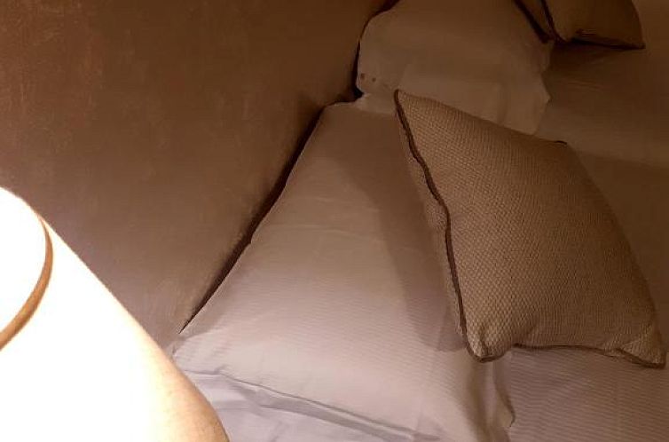Cà Doge