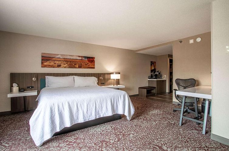 Hilton Garden Inn Mankato Downtown