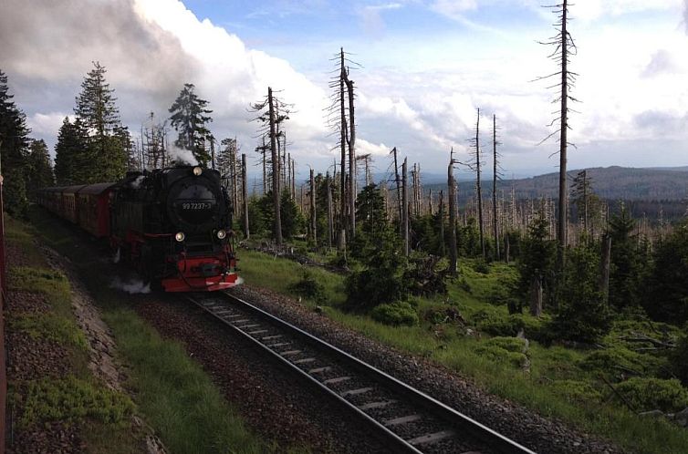 Ferienapartments am Brocken