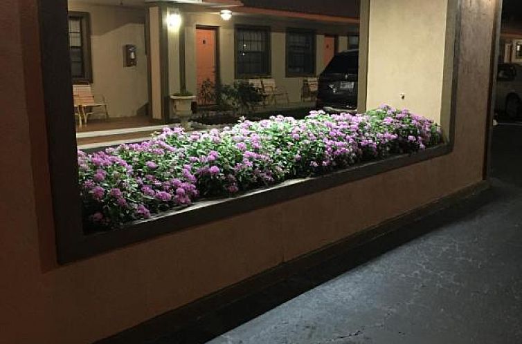 Silver Princess Motel