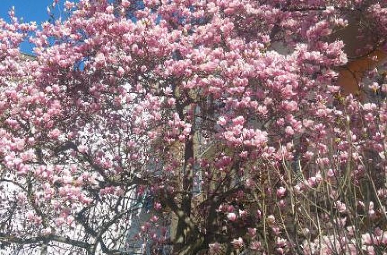 Haus Mobene - Hotel Garni