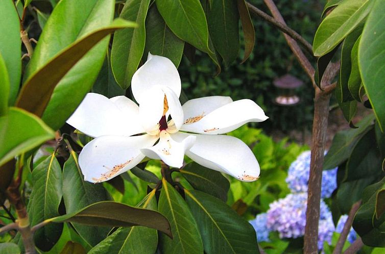 Hotel Rural San Miguel - Only Adults