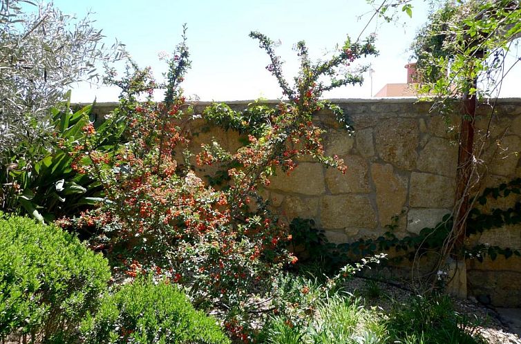 Hotel Rural San Miguel - Only Adults