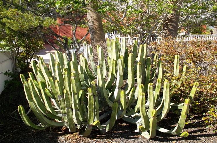 Exclusively located Golf Villa with heated pool