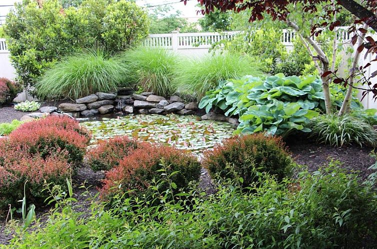 Courtyard by Marriott Lyndhurst/Meadowlands