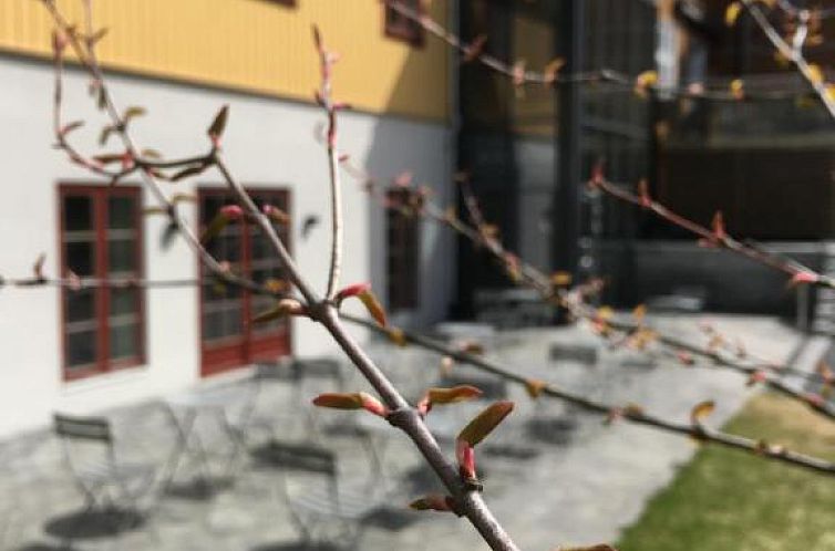 Clarion Collection Hotel Hammer