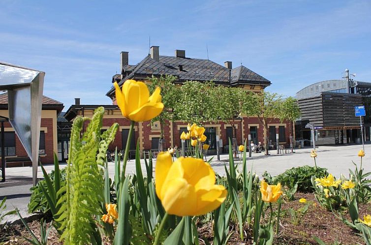 Unterkunft 8810704 - Appartement Ost-Norwegen - Lillehammer Stasjonen Hotel