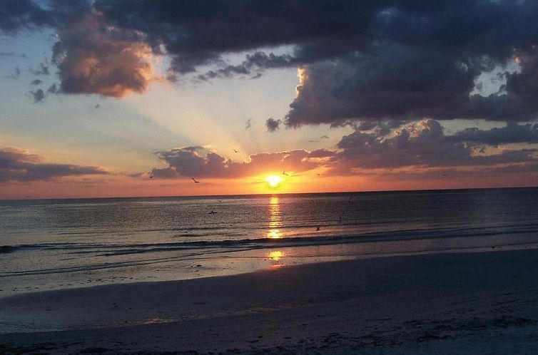 Tropical Beach Resorts - Sarasota