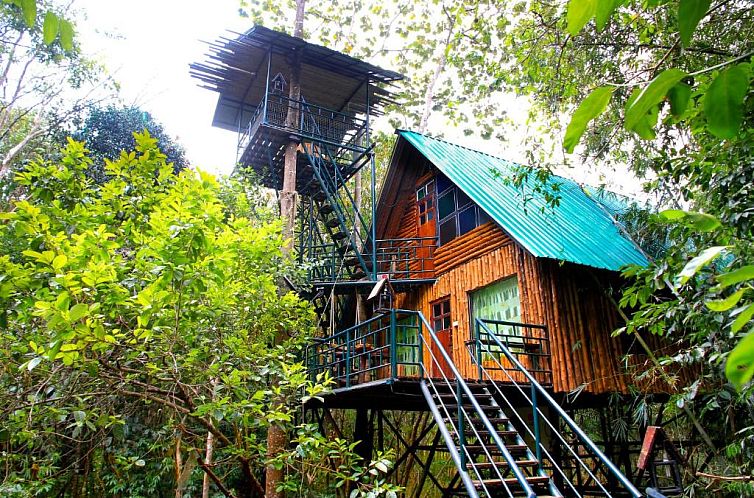 Khaosok Treehouse Resort