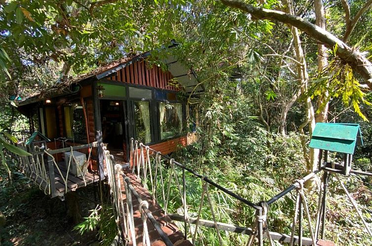 Khaosok Treehouse Resort