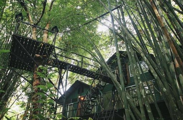 Khaosok Treehouse Resort