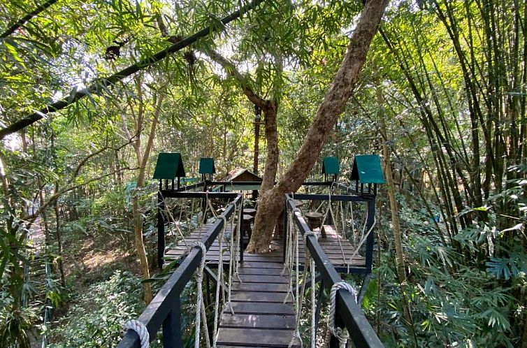 Khaosok Treehouse Resort