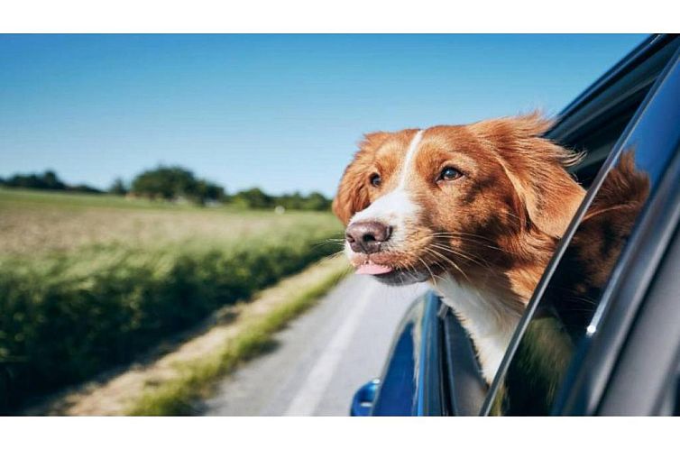 Motel 6-Janesville, WI